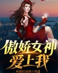 傲娇女神爱上我