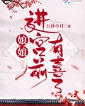 娘娘进宫前有喜了
