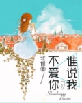 谁说我，不爱你