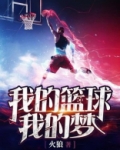 我的篮球我的梦