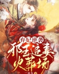 弃妃逆袭，邪王追妻火葬场
