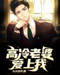 高冷老婆爱上我