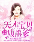 专宠蜜爱：天才宝贝腹黑爹