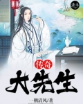 传奇大先生