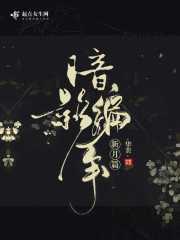 暗影编年新月篇