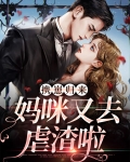 携崽归来：妈咪又去虐渣啦