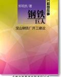 钢铁巨人：宝山钢铁厂开工建设
