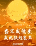 当不成儒圣我就掀起变革