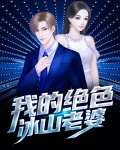 我的绝色冰山老婆