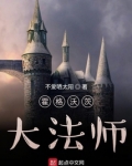 霍格沃茨大法师