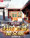 四合院：我的老婆是文丽
