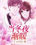 当冬夜渐暖