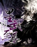 星武至尊