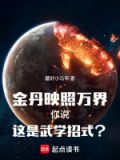 金丹映照万界,你说这是武学招式